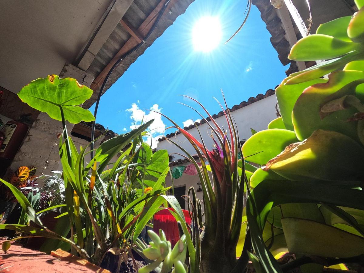 Hostal Posada Mi Casa San Cristóbal de Las Casas Buitenkant foto