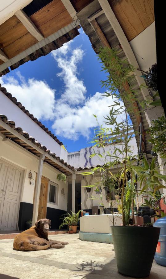 Hostal Posada Mi Casa San Cristóbal de Las Casas Buitenkant foto