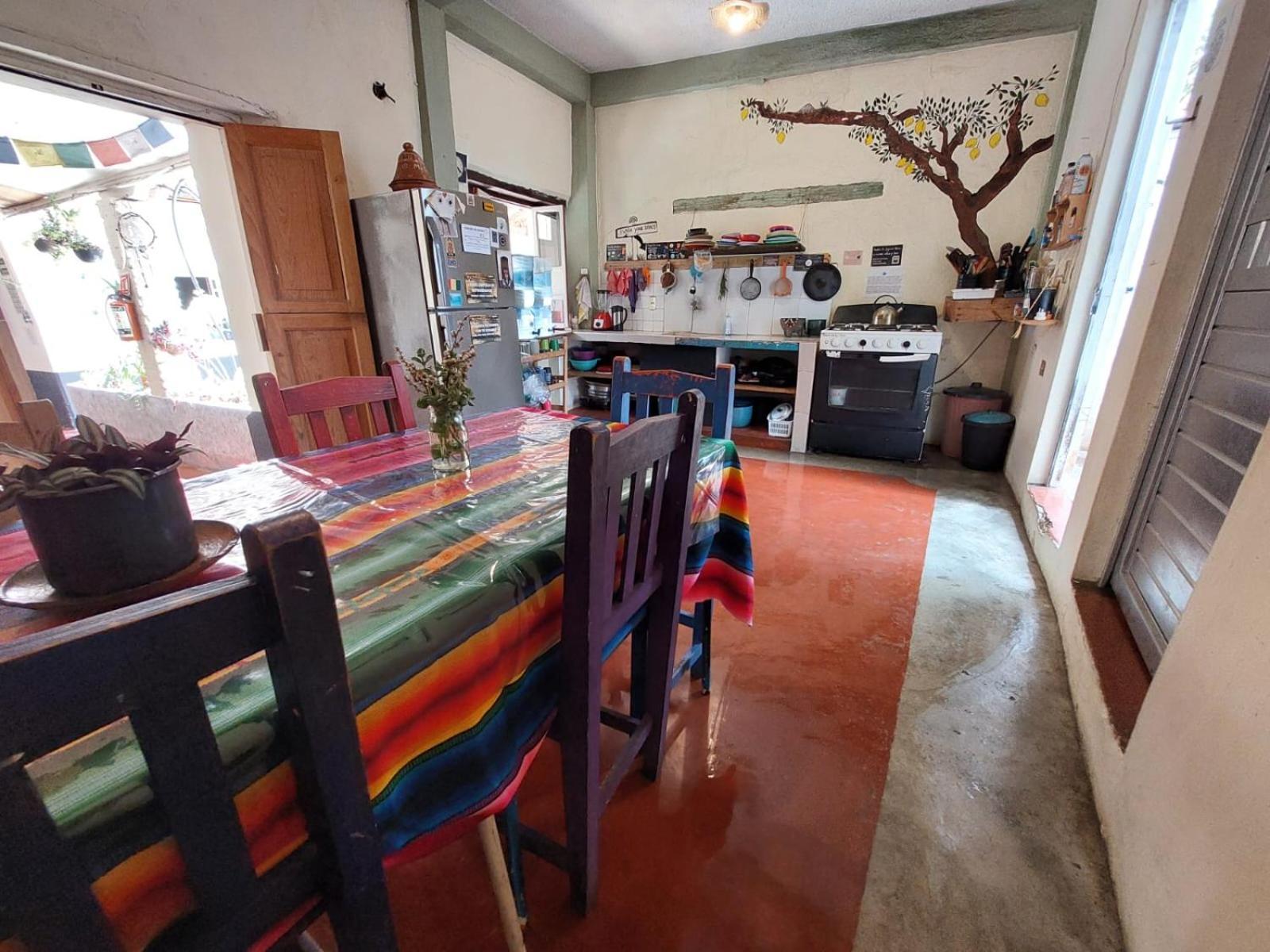 Hostal Posada Mi Casa San Cristóbal de Las Casas Buitenkant foto